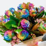 rainbow roses hand tied