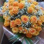 58fd1f8d 2a88 4916 897a 945fdc69f766