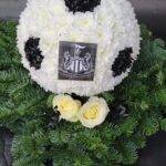 6db5f86b 9e79 43ed b044 bfaa8c7f4cd0