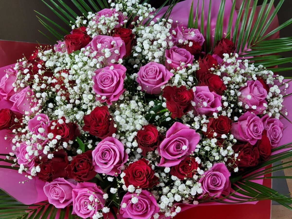 50 cerise, pink and red roses deliver a romantic surprise on Valentine's Day