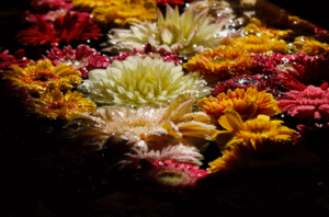 Dried flower bouquets are arrangements 